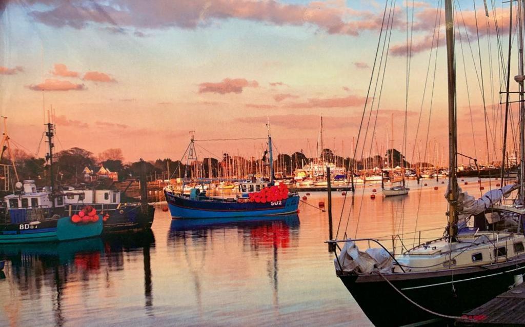 Shorefield Country Park, Where The New Forest Meets The Sea, Passes For All Entertainment Included Milford on Sea Esterno foto