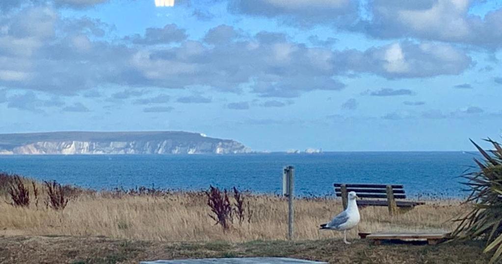 Shorefield Country Park, Where The New Forest Meets The Sea, Passes For All Entertainment Included Milford on Sea Esterno foto