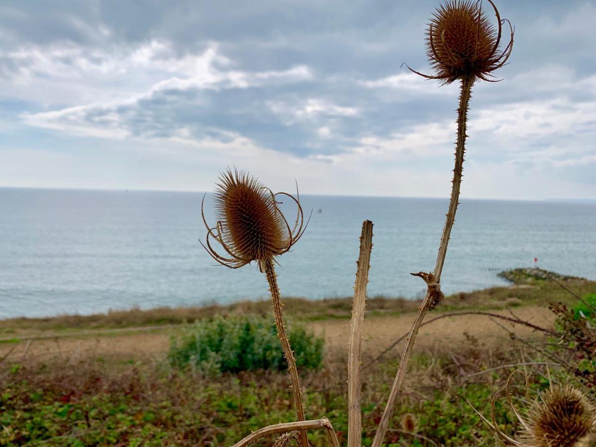 Shorefield Country Park, Where The New Forest Meets The Sea, Passes For All Entertainment Included Milford on Sea Esterno foto