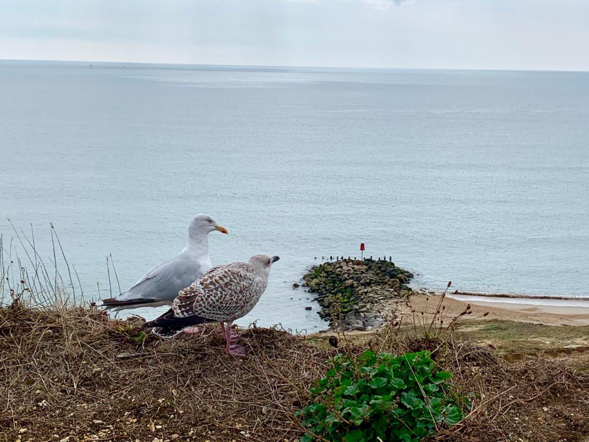 Shorefield Country Park, Where The New Forest Meets The Sea, Passes For All Entertainment Included Milford on Sea Esterno foto