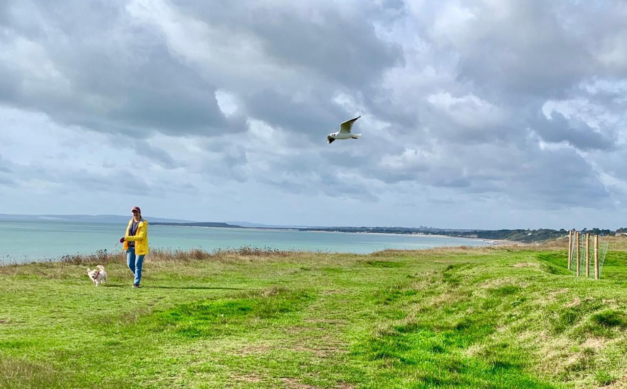 Shorefield Country Park, Where The New Forest Meets The Sea, Passes For All Entertainment Included Milford on Sea Esterno foto