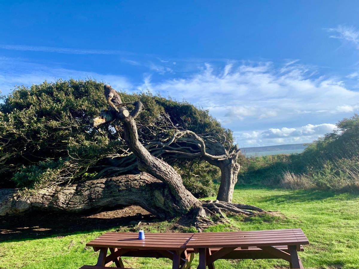 Shorefield Country Park, Where The New Forest Meets The Sea, Passes For All Entertainment Included Milford on Sea Esterno foto